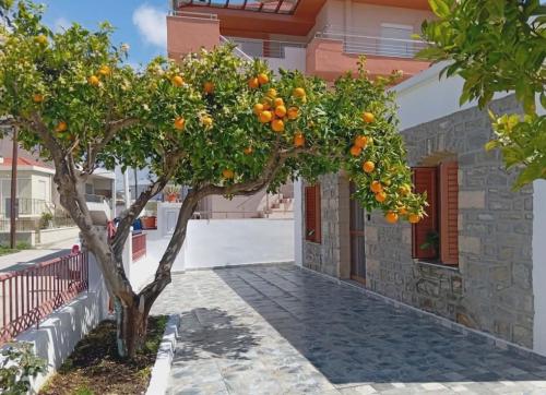 Orange Tree House Apolakkia Rhodes gîte à louer Apolakkiá