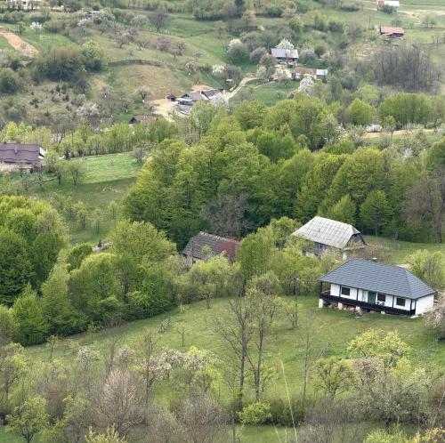 La Paramon ! in Sangeorz-Bai