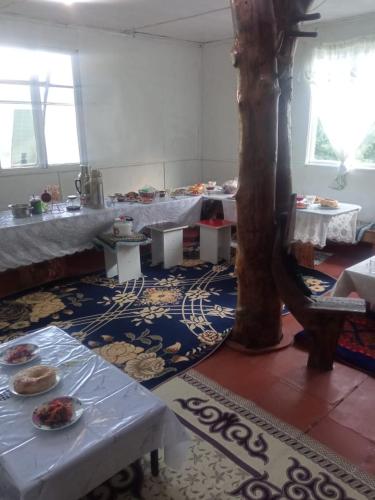 Esal Yurthome Altyn Arashan in Teploklyuchenka