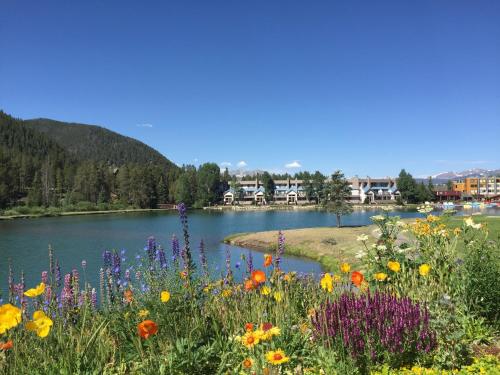 Argentine 1523 by SummitCove Lodging in Keystone, USA