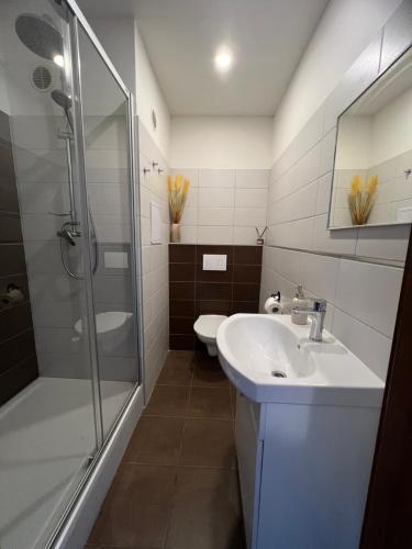 Duša, Apartmán Třinec (Apartman Trinec) in Vendrine
