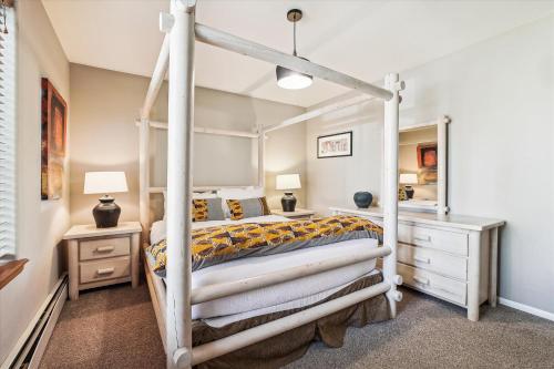 Park Forest Chalet- Pet Friendly Breck Home with Hot Tub - image 2