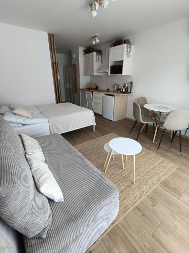 Studio by the River with Terrace, Basen, Sauna, Jacuzzi, Fitness, Dziwnów (photo 4)