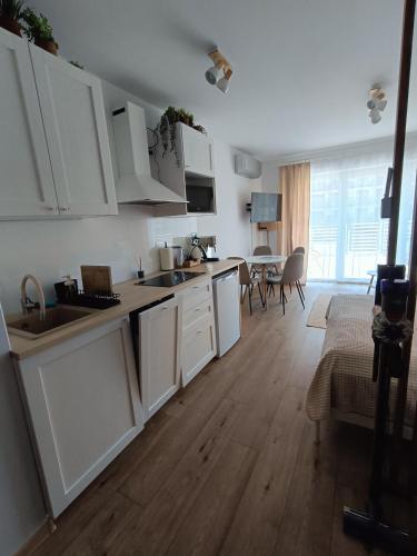 Studio by the River with Terrace, Basen, Sauna, Jacuzzi, Fitness, Dziwnów (photo 2)