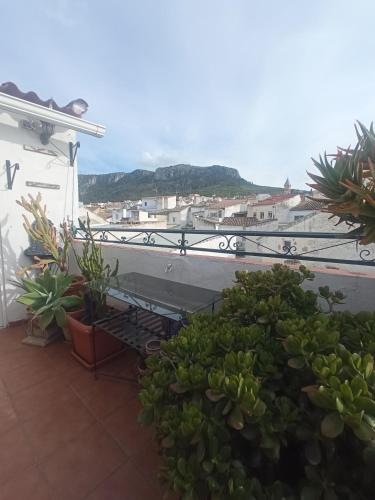 Hostal R-Conecta in Cuevas de San Marcos