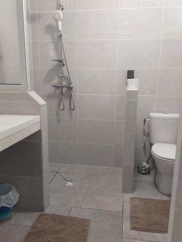 A Ka Roro petit appart cosy T2 - proche CHU, wifi, piscine in Morne-A-l'Eau