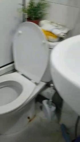 appartemet meuble in 뎀나트