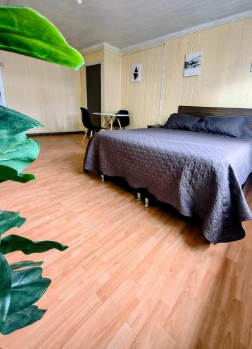 Hostel Notro Valdivia in Valdivia