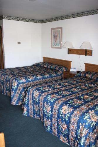 Viking Jr. Motel in Saint Peter, USA