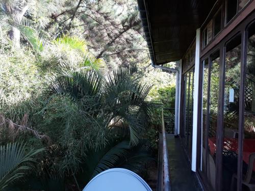 tuin, The Drop Inn in Kandy