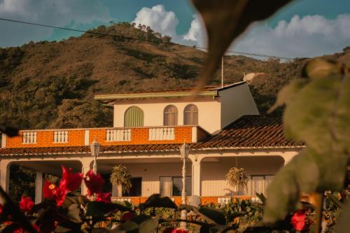 Alma Terra Campestre