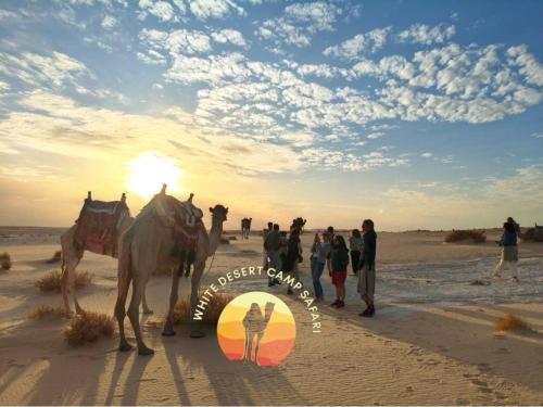 A környék, Cairo 2-Day Bahariya Oasis Camp and Desert Tour in Farafra