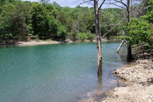 Lakefront with Hot Tub/Sauna-Beaver Lake,Arkansas in Garfield, USA