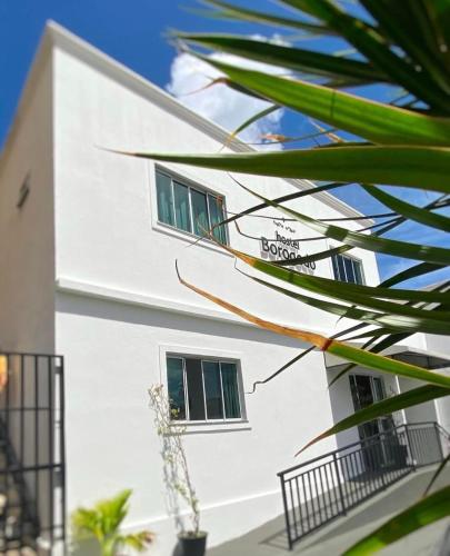 Hostel Borogodo in Fortaleza