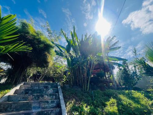 Binh Yen Noi Đay Homestay in Hòa Thắng