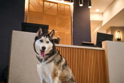 Hyatt Place Tampa Airport/Westshore in Tampa, USA