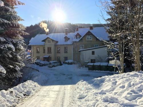 Haus Elena am Semmering - Apartment - Steinhaus am Semmering