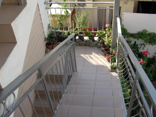 Svirskiy Pliazh Guest House - image 12