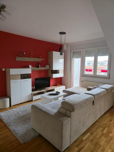 Modern Cozy Apartment near City Center