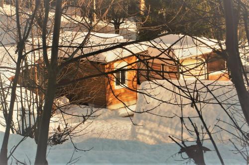 Two-Bedroom Bungalow