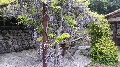 Le mas des louquiers in Andon (Provence-Alpes-Cote d'Azur)