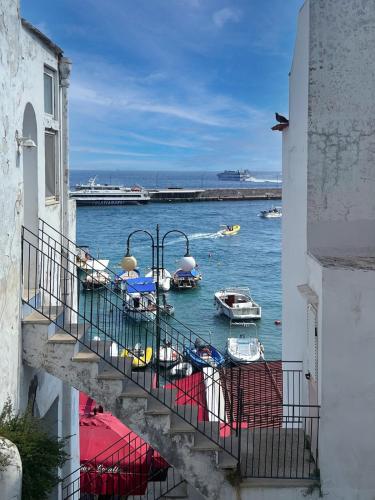 Casa Maresca - Isola di Capri Casa vacanze al mare