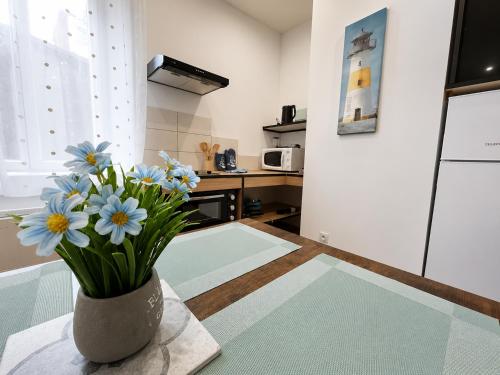 Le bleuet - Spacieux, Lumineux et Parking facile in Montrejeau