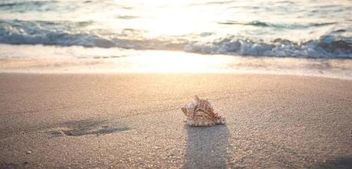Natur Hof Fehmarn Suites Sonneninsel - image 3