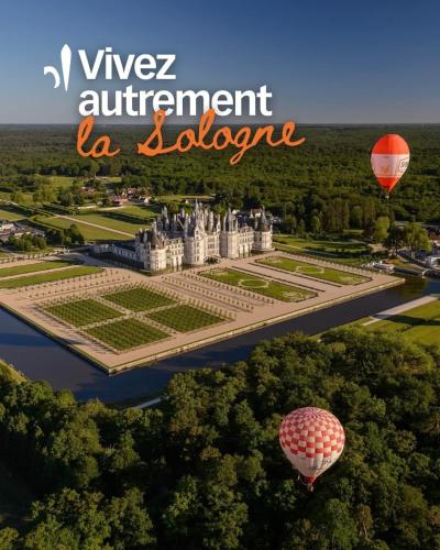 la sologne des étangs, au coeur des chevaux moutons chevres pour 5 personnes (la sologne des etangs, au coeur des chevaux moutons chevres pour 5 personnes) in Saint-Viatre