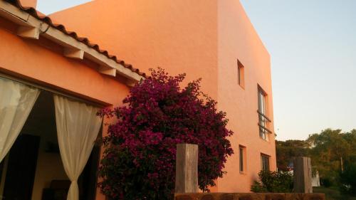 ทัศนียภาพภายนอกโรงแรม, Posada Cova Del Sol in ลา เปเดรรา