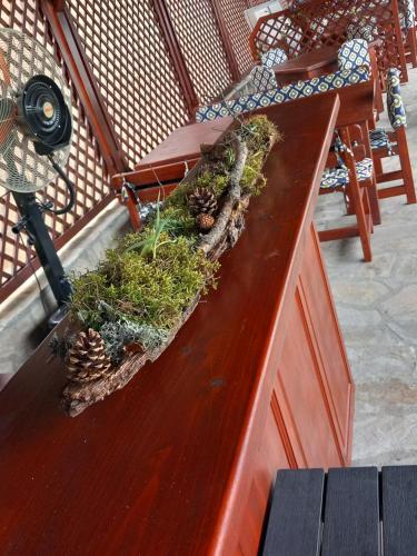 Kris Guest House - image 9