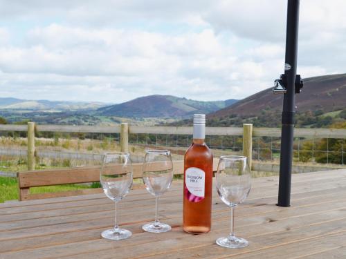 Hotelli välisilme, Gorsddu in Llanwrthwl