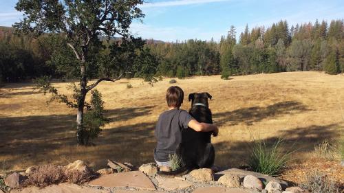 Red Tail Ranch - image 14