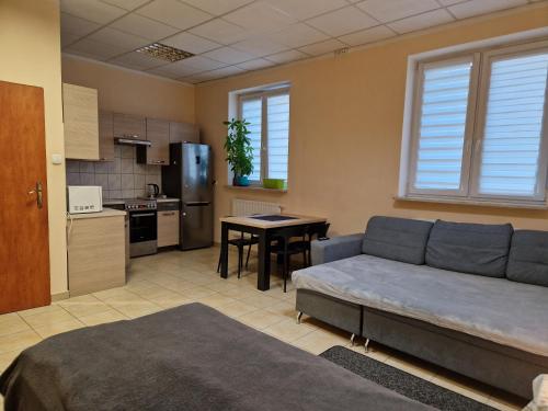 SAWAGO Płocka I Piętro studio 30m2 - samodzielne zameldowanie (SAWAGO Plocka I Pietro studio 30m2 - samodzielne zameldowanie) in Цеханув
