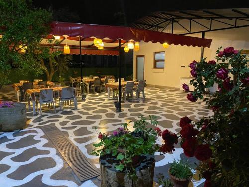Olive House - Pamukkale