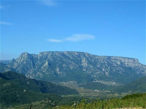 Jasmin et Camomille in Roquebrun