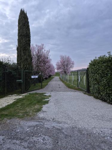 B&B Pizziconi Relax - Vaggio