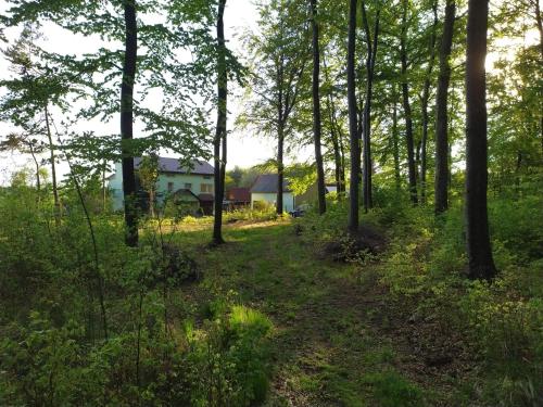 ALE WIDOKI Apartamenty Gościnne (ALE WIDOKI Apartamenty Goscinne) in Podzamcze