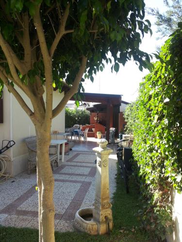 Punta Secca - DEGNO -, Punta Secca (foto 10)