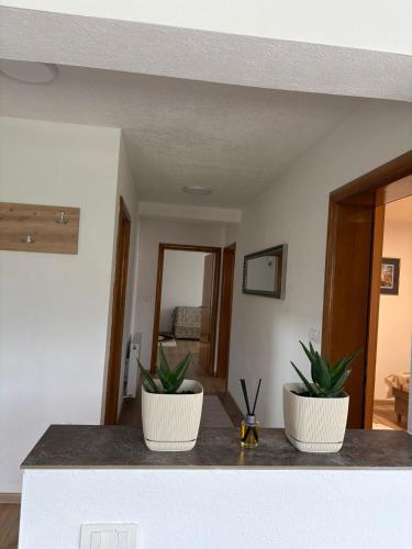 Apartman Lenka in Postenje