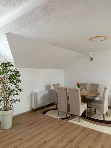 Apartman Lenka in Postenje