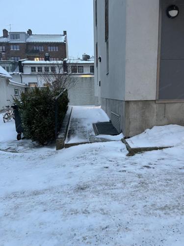 Quiet surroundings, little insight - spacious apartment in Sagene