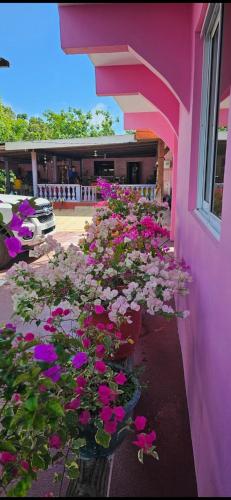 Pension Tereia Maupiti in Maupiti Island