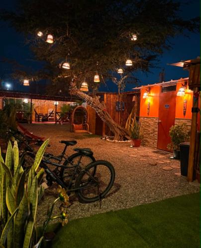 Departmento Grande in Puerto Chicama