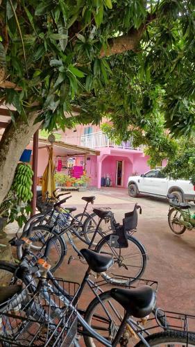 Pension Tereia Maupiti in Maupiti Island