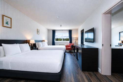 Hotel International - image 39