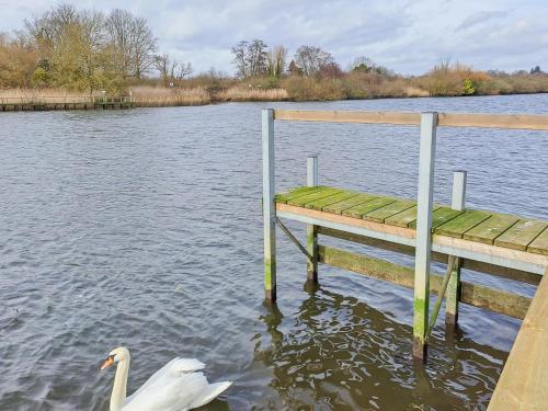 Skats, Nature's Nook in Brundall