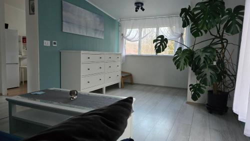 Cozy Fjord Loft in Reydarfjordur