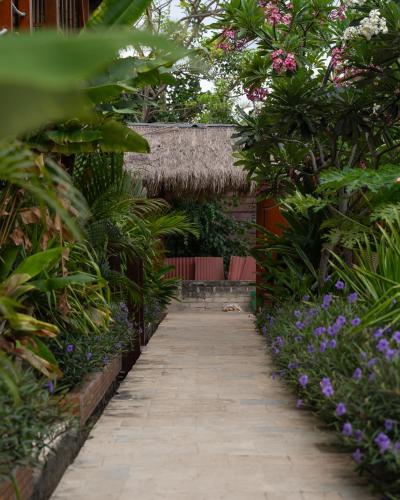 Voodoo Gili