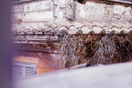 Peretti Rome Trastevere Home - image 10